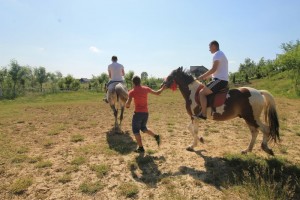 fidelia-casa-iasi-colt-de-rai_13